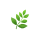 Encourages overall vitality